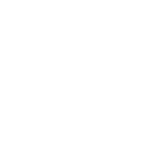 Guided Owl ability icon