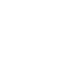 Flying Slash ability icon